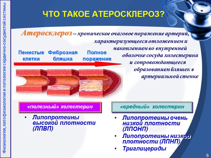 ЧТО ТАКОЕ АТЕРОСКЛЕРОЗ? Липопротеины высокой плотности (ЛПВП) Липопротеины очень низкой плотности (ЛПОНП) Липопротеины низкой